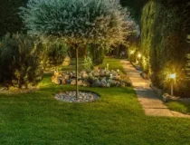 landscape-lighting-in-garden-768x512