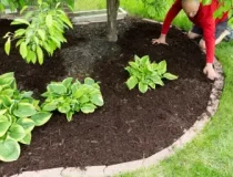 mulch-installation-DFW-metroplex-768x512